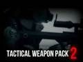 Jeu Pack d'armes tactiques 2  en ligne