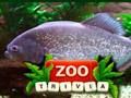 Jeu ZOO Quiz  en ligne