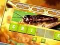 Jeu Mot brouillé pour les enfants  en ligne