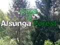 Jeu Retour à la forêt d'Alsunga  en ligne