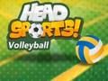 Jeu Head Sports Volley-ball en ligne Jeu Head Sports Volley-ball en ligne