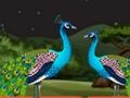 Jeu Couple perroquet évasion  en ligne
