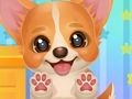 Jeu Adoptez votre chiot  en ligne