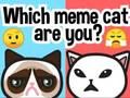 Jeu Quel chat mème êtes-vous ?  en ligne