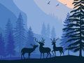 Jeu Paysage Paradis Caché  en ligne