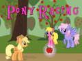 Jeu Course de poneys en ligne Jeu Course de poneys en ligne