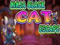 Jeu Évasion du chat noir ninja  en ligne