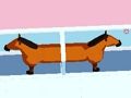 Jeu Cheval Divorce  en ligne
