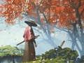 Jeu Réflexion de samouraï  en ligne