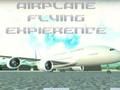 Jeu Expérience de vol en avion  en ligne