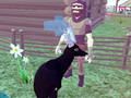 Jeu Simulateur de cerf 3D  en ligne