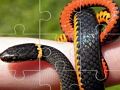 Jeu Puzzle de serpents  en ligne