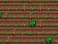 Jeu Théière  en ligne
