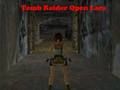 Jeu Tomb Raider Ouvrir Lara  en ligne