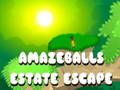 Jeu Évasion de la propriété Amazeballs  en ligne