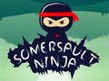 Jeu Ninja saut périlleux  en ligne