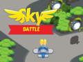 Jeu Bataille du ciel  en ligne