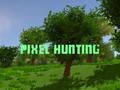 Jeu Chasse aux pixels  en ligne