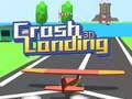 Jeu Atterrissage accidentel 3D  en ligne