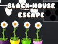 Jeu Évasion de la maison noire  en ligne
