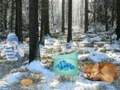 Jeu Aventure dans la forêt des merveilles d'hiver  en ligne