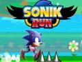 Jeu Sonik Run en ligne