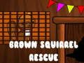 Jeu Sauvetage de l'écureuil brun  en ligne