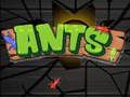 Jeu Fourmis  en ligne
