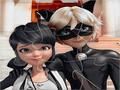 Jeu Collection de puzzles coccinelle  en ligne