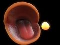 Jeu Pac-man en ligne