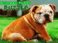 Jeu Puzzle Chiot Bouledogue  en ligne