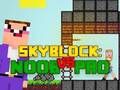 Jeu Noob contre Pro Skyblock  en ligne