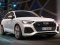 Jeu Diapositive Audi SQ5 TDI  en ligne