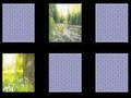 Jeu Mémoire naturelle  en ligne