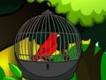 Jeu Sauvez l'oiseau en cage  en ligne