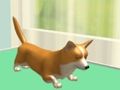 Jeu S'occuper d'un animal  en ligne
