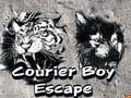Jeu Courrier garçon évasion  en ligne