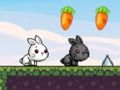 Jeu Lapin mignon  en ligne