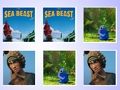 Jeu Match de carte mémoire The Sea Beast  en ligne