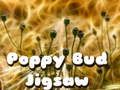 Jeu Puzzle bourgeon de coquelicot  en ligne