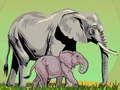 Jeu Animaux sauvages et leurs bébés  en ligne