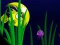 Jeu Poisson Flash Freddie  en ligne