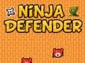 Jeu Défenseur ninja  en ligne