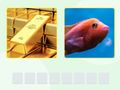 Jeu Picword en ligne