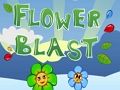 Jeu Explosion de fleurs  en ligne