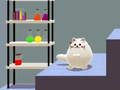 Jeu Le double chat de Schrödinger  en ligne