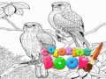 Jeu Livre de coloriage pour adultes  en ligne
