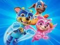 Jeu Livre de coloriage pour Paw Patrol  en ligne