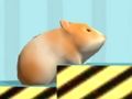 Jeu Hamster A confirmer  en ligne