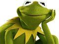 Jeu Livre de coloriage pour Kermit la grenouille  en ligne